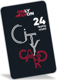Lyon City Card 24h: Adult